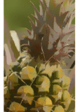 maglietta pinapple