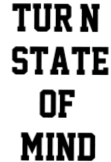 maglietta 