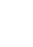 maglietta 