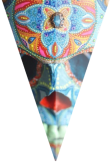 maglietta Skull Color