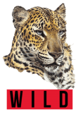 maglietta Wild Leopard