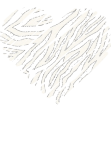 maglietta hearth zebra