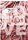 maglietta Maglia da donna scritta Love con sfondo di rose