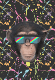 maglietta Space Monkey