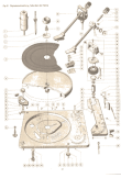 maglietta