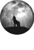 maglietta The wolf and the moon