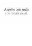 maglietta 
