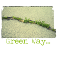 maglietta Green way