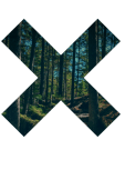 maglietta Forest