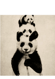 maglietta pandafamiglia