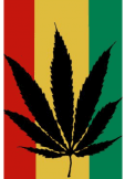 maglietta rasta leaf