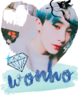 maglietta Wonho cute 