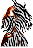 maglietta zebra 