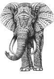 maglietta elephant