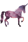 maglietta unicorn 