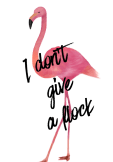 maglietta I don't give a flock - Flamingo