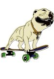 maglietta Skatedog