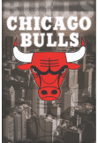 maglietta chicago bulls 1