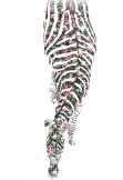 maglietta zebra fashion