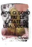 maglietta non ci sono più le patate di una volta