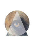maglietta eye of the wild 