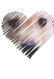 maglietta labrador's eye 