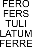 maglietta FERO, FERS, TULI, LATUM, FERRE