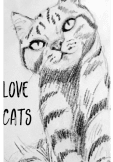 maglietta Cover  Love Cats
