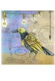 maglietta Steampunk bird