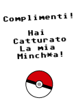 maglietta POKEMOOD