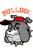 maglietta bulldog