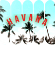 maglietta T-shirt Havana