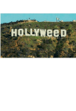 maglietta hollyweed