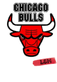 maglietta chicago bulls •L&M