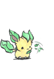 maglietta leafeon