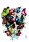 maglietta Skull and butterfly 