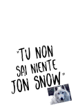 maglietta 'Tu non sai niente Jon Snow'