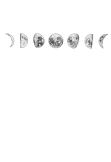 maglietta moon phases
