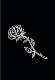 maglietta Black rose