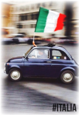 maglietta