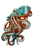 maglietta Mr. Octopus