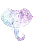 maglietta Mandala elephant