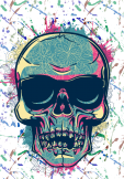 maglietta colorfull skull