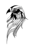 maglietta eagle