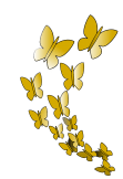 maglietta Farfalle dorate