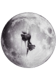 maglietta inside the moon 
