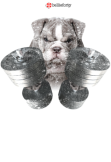 maglietta Strong Bulldog