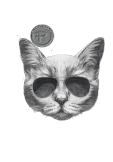 maglietta Racestyle Cat