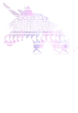 maglietta