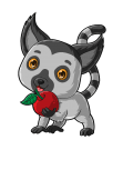 maglietta baby lemur holding red apple cucciolo di lemure che tiene in mano una mela rossa